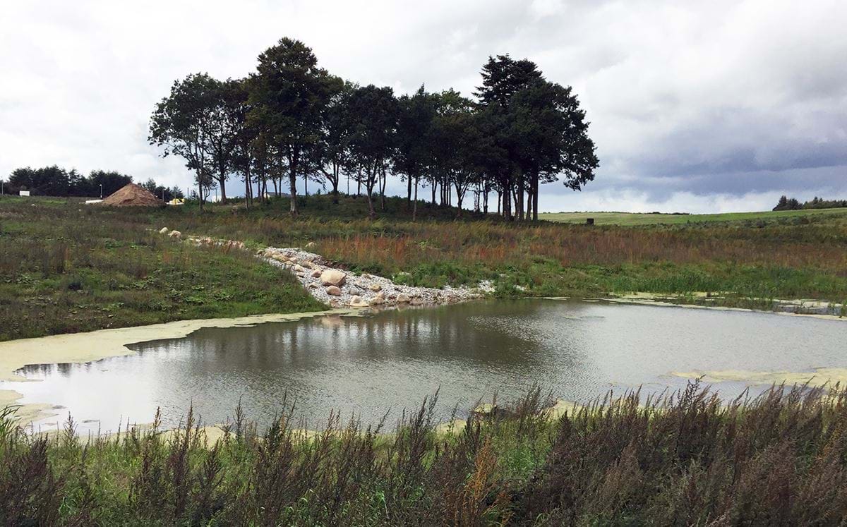 Regnvandsbassin, Provstlund